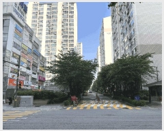  2025Ÿ��52246  ����Ʈ���