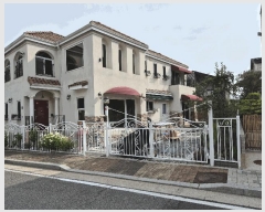  2025Ÿ��52554  ���ð��