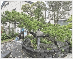  2025Ÿ��52554  ���ð��