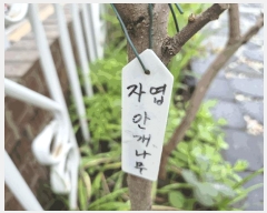  2025Ÿ��52554  ���ð��