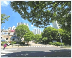  2025Ÿ��571 ��� ������ �꺻�� 1066 ����������Ʈ 1329�� 22��2206ȣ    ����Ʈ���