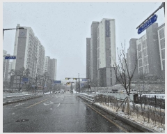  2025Ÿ��100501  ����Ʈ���