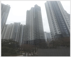  2025Ÿ��100826  ����Ʈ���