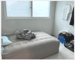  2025Ÿ��100852  ���ǽ��ڰ��