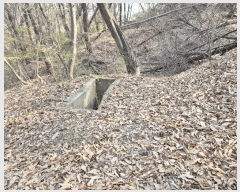  2025Ÿ��100874  �Ӿ߰��