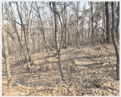  2025Ÿ��100874  �Ӿ߰��