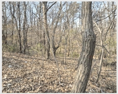  2025Ÿ��100874  �Ӿ߰��