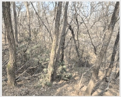  2025Ÿ��100874  �Ӿ߰��