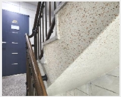  2025Ÿ��100981 ��� �Ⱦ�� ���ȱ� �Ⱦ絿 859-14 �̿��Ӹ��� 2��203ȣ    �ټ���,������