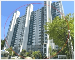  2025Ÿ��101011 ��� �ǿս� ���յ� 774 �ݵ����������2���� 209�� 18��1806ȣ    ����Ʈ���
