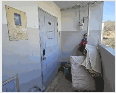  2025Ÿ��83  ����Ʈ���