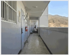  2025Ÿ��83  ����Ʈ���