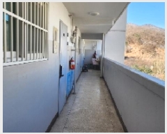  2025Ÿ��83  ����Ʈ���