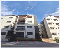  2025Ÿ��311  �ټ���(����)���