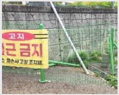  2025Ÿ��101047 ��� �ǿս� û�赿 693-6       ����(����)���