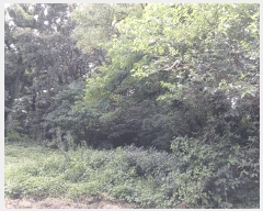  2025Ÿ��101241 ��� �ǿս� �̵� 662-1       ����(�Ӿ�)���