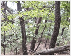  2025Ÿ��101241 ��� �ǿս� �̵� 662-1       ����(�Ӿ�)���