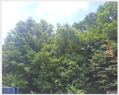  2025Ÿ��101241 ��� �ǿս� �̵� 662-1       ����(�Ӿ�)���