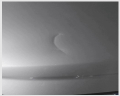  2025Ÿ��101505  �������