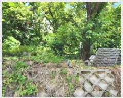  2025Ÿ��816 ��� �Ⱦ�� ���ȱ� ��굿 1028-36      ����(�Ӿ�)���