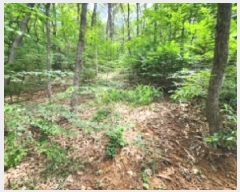  2025Ÿ��1116  �Ӿ߰��