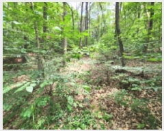  2025Ÿ��1116  �Ӿ߰��