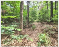  2025Ÿ��1116  �Ӿ߰��