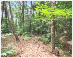  2025Ÿ��1116  �Ӿ߰��