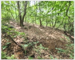  2025Ÿ��1116  �Ӿ߰��