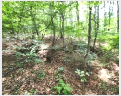  2025Ÿ��1116  �Ӿ߰��