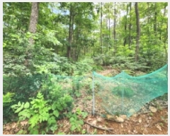  2025Ÿ��1116  �Ӿ߰��