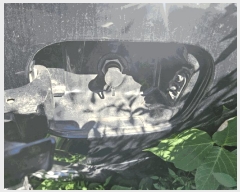  2025Ÿ��100795  �������