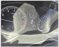  2025Ÿ��100795  �������