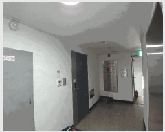  2025Ÿ��101353 ��� ������ �絿 748-25 ��Ƽĳ�� 5��503ȣ     ���ǽ��ڰ��