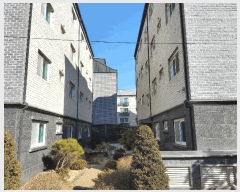  2025Ÿ��52  �ټ���(����)���