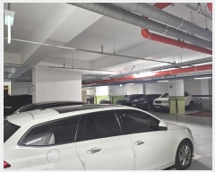  2025Ÿ100167  Ⱦ ȱ 16 26, 3302ȣ (Ⱦ絿,̿Ӹ)    ǽڰ