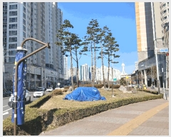  2025Ÿ��100851  ���ǽ��ڰ��