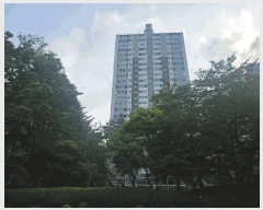  2025Ÿ��101110 ��� ������ �꺻�� 1151-5 �Ѿ��������Ʈ 801�� 8��801ȣ    ����Ʈ���