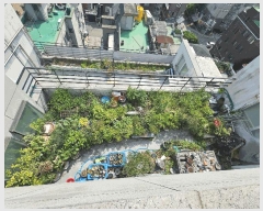  2025Ÿ��101134  �ټ���(����)���