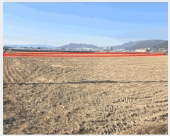  2025Ÿ��144 �λ� ������ ������ 294-3       ����(��)���