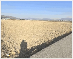  2025Ÿ��144 �λ� ������ ������ 294-3       ����(��)���