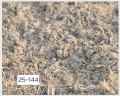  2025Ÿ��144 �λ� ������ ������ 294-3       ����(��)���