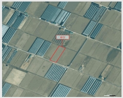  2025Ÿ��144 �λ� ������ ������ 294-3       ����(��)���