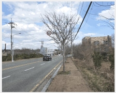  2025Ÿ��199 �λ� ������ ������ 2091-2       ����(��1)���