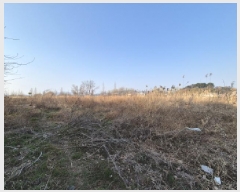  2025Ÿ��199 �λ� ������ ������ 2091-2       ����(��1)���