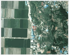  2025Ÿ��311  ���ð��