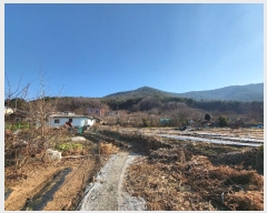  2025Ÿ��100044 �λ� ������ ������ 126       ����(��)���