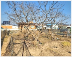  2025Ÿ��100044 �λ� ������ ������ 126       ����(��)���