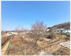  2025Ÿ��100044 �λ� ������ ������ 126       ����(��)���