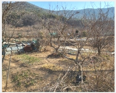  2025Ÿ��100044 �λ� ������ ������ 126       ����(��)���